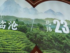 -霸王茶姬(五一路店)