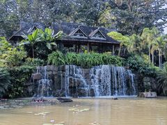-中国科学院西双版纳热带植物园