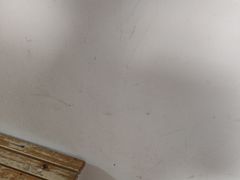 -江湾体育中心游泳馆