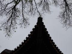 -颐和园