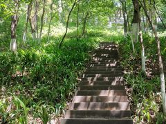 -重庆平顶山公园