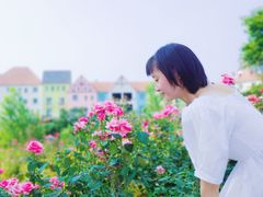 -大塘金香草谷