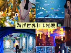 -威海华夏城景区