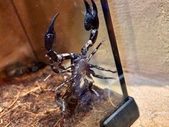 -天河领展广场