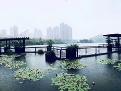 -聚龙小镇