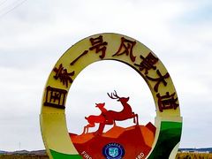 -塞罕坝国家级自然保护区