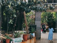 -城林園·老滇味