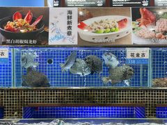 -欢乐海岸美食联盟