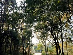 -青龙山国家森林公园