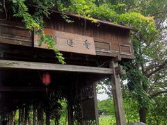 -荷塘月色湿地公园·向阳花洲