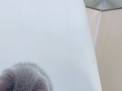 -宠颐生宠物医院外科·内科·皮肤科·影像科(石龙店)