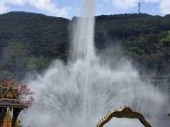 -西双版纳原始森林公园