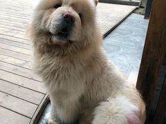 -三圣花乡旅游区