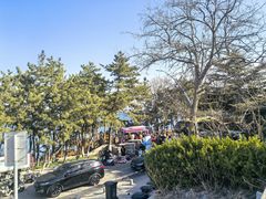-养马岛旅游度假区