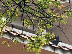 -水濂山森林公园