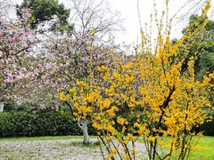 -杭州黄龙洞
