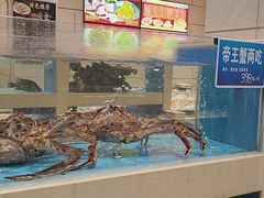 -双井轩(双井店)