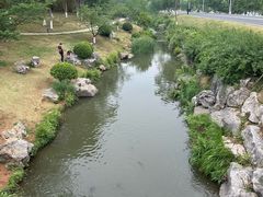 -羊山湖公园
