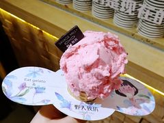-野人先生现做冰淇淋(西安赛格店)