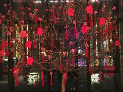 -上海崇明金茂凯悦酒店