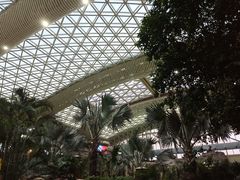 -杭州开元森泊度假乐园