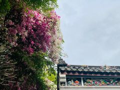 -深圳国际园林花卉博览园