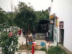-长兴慧子土特产茶行