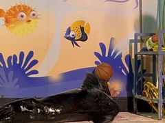 -太平洋海底世界