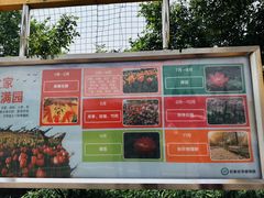 -石家庄市植物园