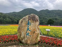 -广州市石门国家森林公园
