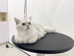 -comecome来吧宠物(奥克斯中心店)