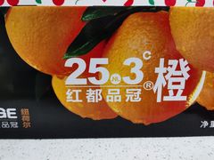 橙子-沈阳市八家子水果批发市场