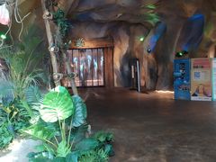 -杭州开元森泊度假乐园