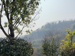 -艾坪山公园