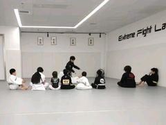 -EFL巴西柔术·综合格斗·泰拳·少儿体能训练(虹桥德必馆)