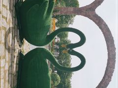 -鹅湖玫瑰文化园