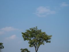 -良渚古城遗址公园