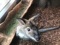 -昆明大悦城未来动物城(螺蛳湾中心店)