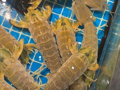 -驻海渔市(置信店)