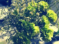 -双季花艺园艺市场(浦东店)