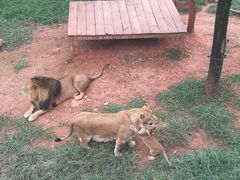 -西安秦岭野生动物园