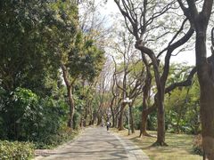 -人民公园(罗湖区)