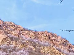 -北京凤凰岭