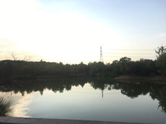 -梁鸿国家湿地公园