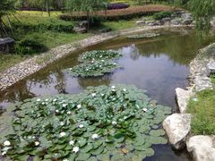 外景-宁波九龙湖开元度假村