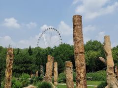 -石家庄市植物园
