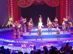 -珠海横琴长隆《卡卡虎奇遇记》