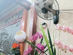 -沐毫傣泐云南菜孔雀宴•手抓饭傣味烧烤(曼听店)