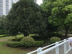 -陆家嘴金融服务广场