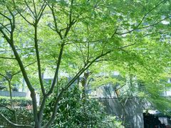 -弄堂里(阿里西溪A区店)